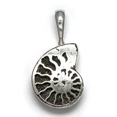 Ammonite Silver Pendant