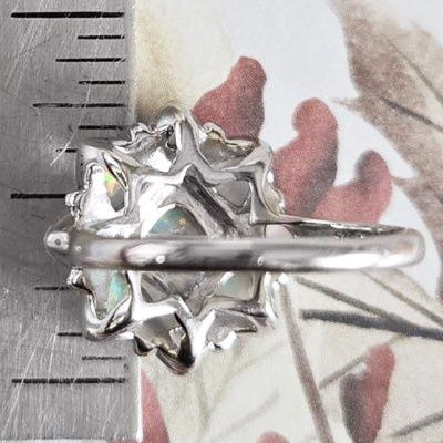 ns19_back_ruler_1901647541