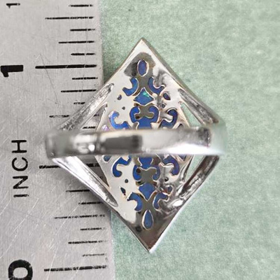ns61_back_ruler