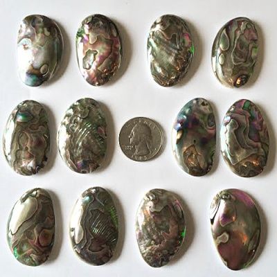 Offerings Sajen Twelve 40x25mm Mother of Pearl Backed Baby Paua Shells